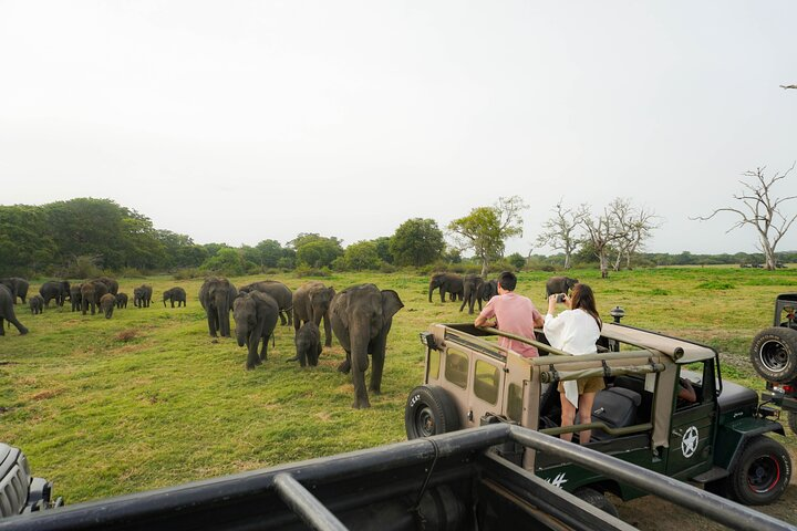 Kaudula Elephant Gathering